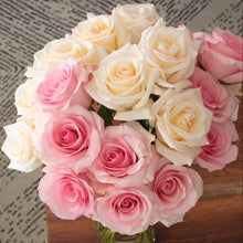 Farmer's Choice Roses

