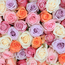 Farmer's Choice Roses
