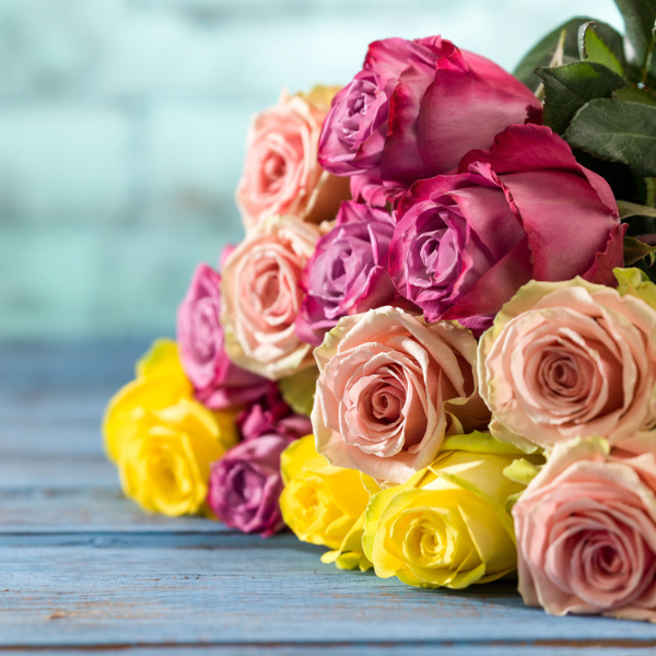 Farmhouse Roses Rose Farmers | Farm Fresh Roses | Buy Quality Roses Direct