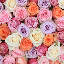 Exquisite Long Stem Roses [Newsletter Exclusive]
